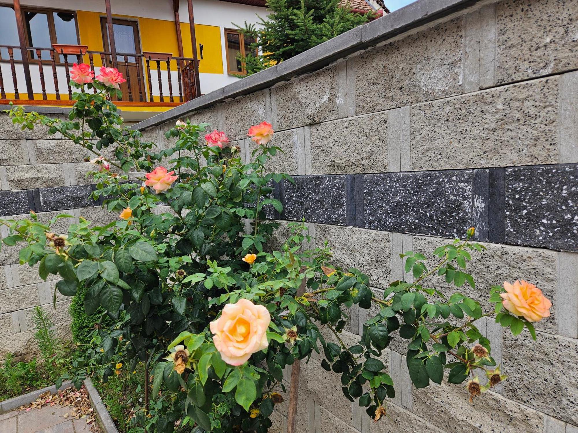 Casa Raduly Aparthotel Sibiu Ngoại thất bức ảnh